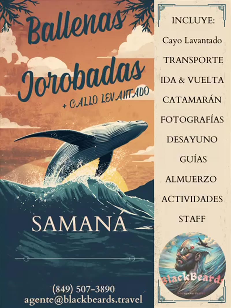 Ballenas Jorobadas Samaná